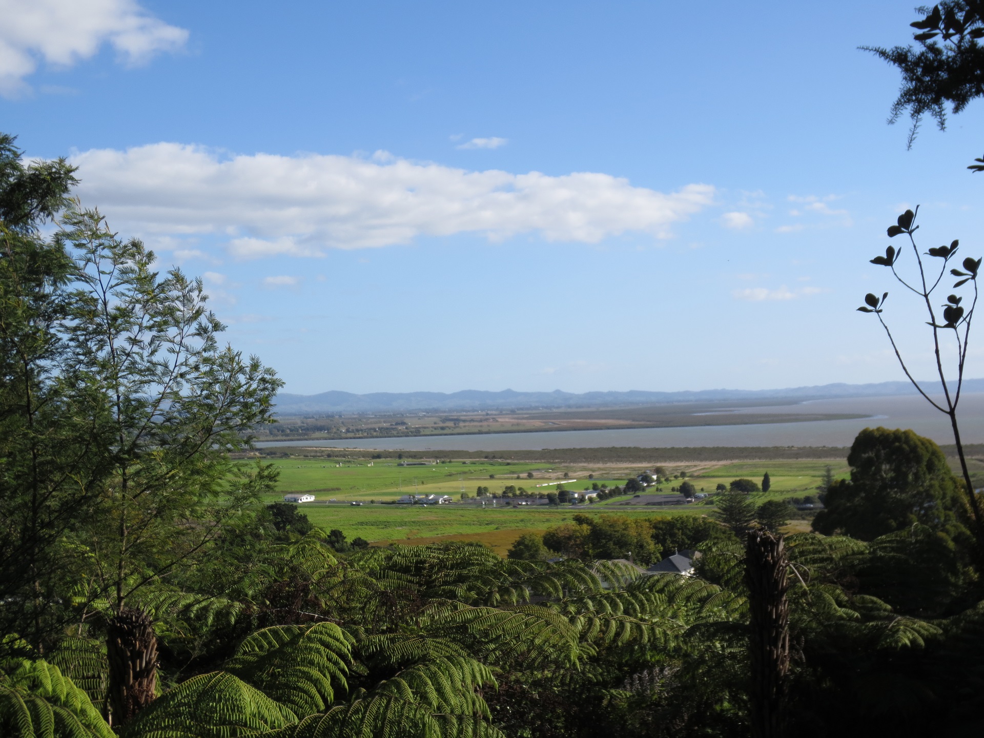 View of Hauraki Plains