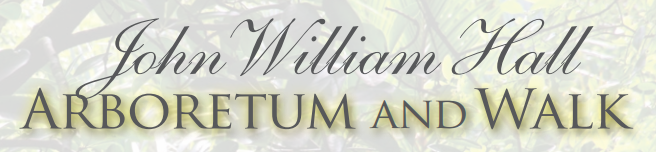 Willaim Hall Arboretum Logo